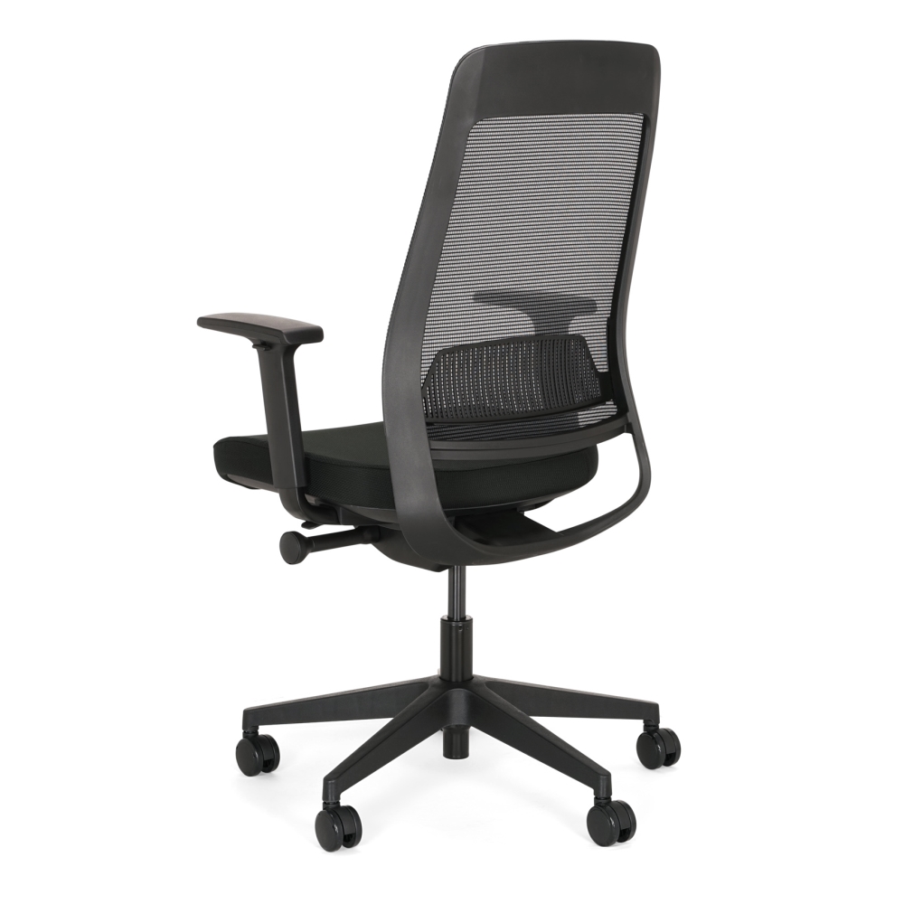 Arbonorm ergonomische bureaustoel Ledderra